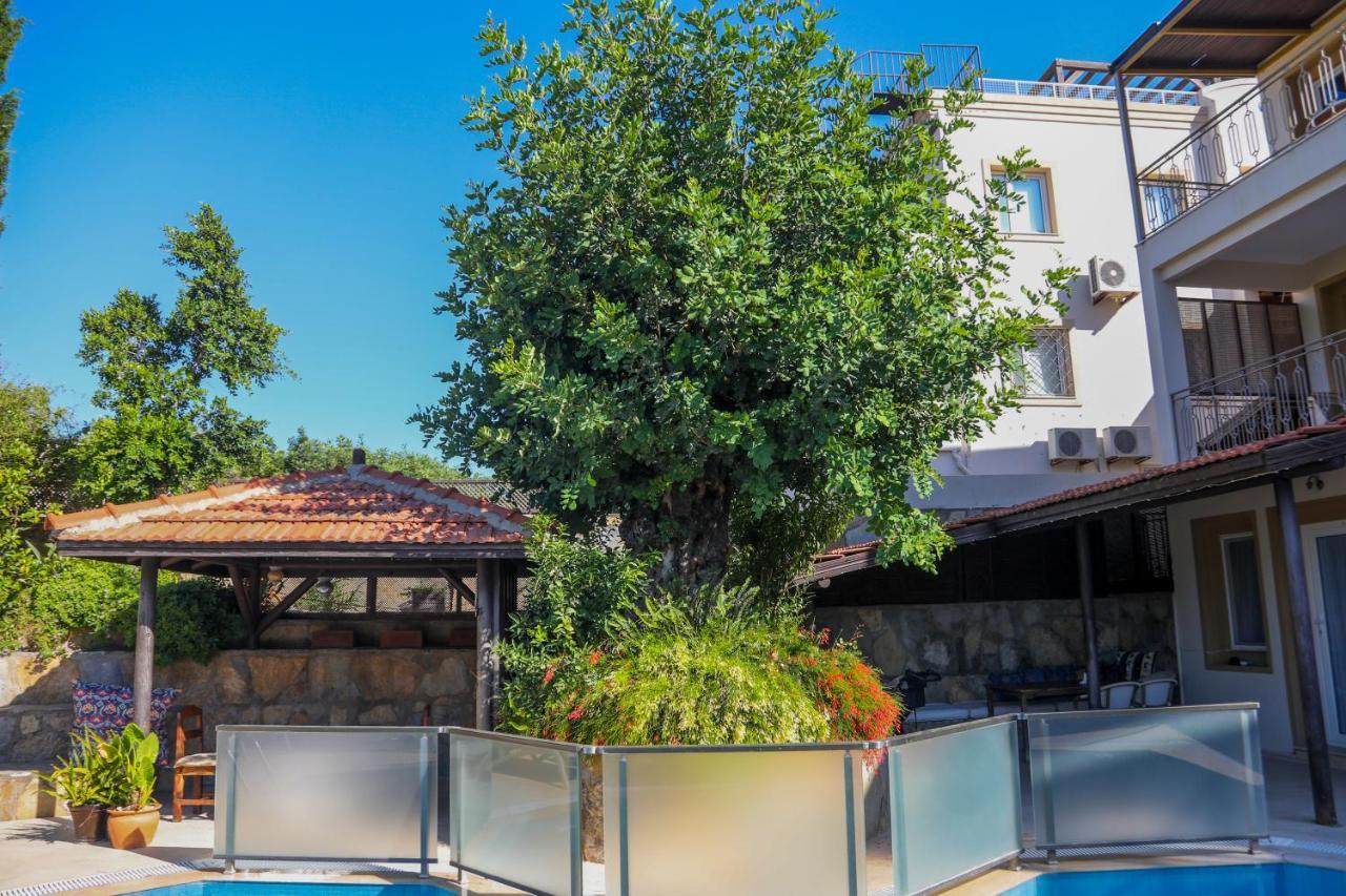 The Aegean Gate Hotel (Adults Only) ボドルム エクステリア 写真