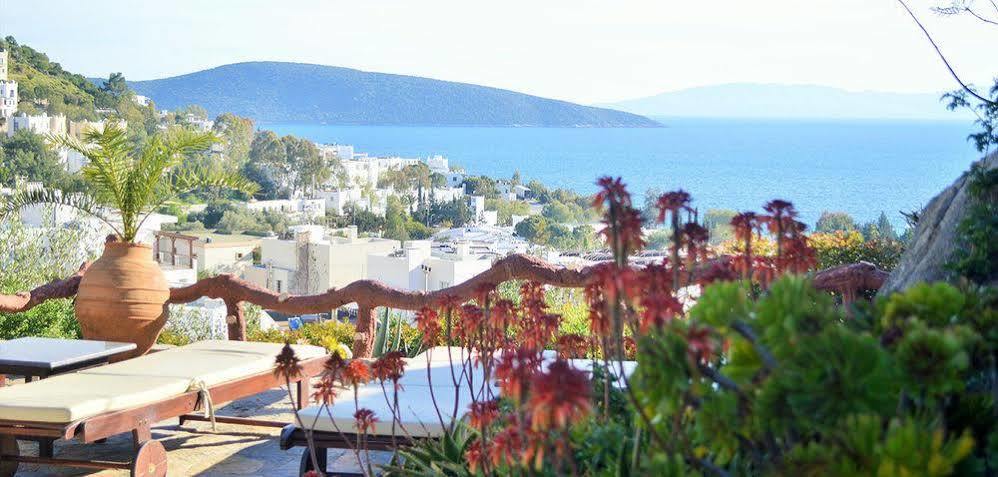 The Aegean Gate Hotel (Adults Only) ボドルム エクステリア 写真